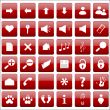 Vector red icon set