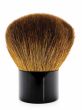 powder brush
