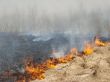wildfire