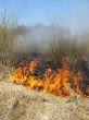 wildfire