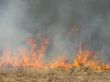 wildfire