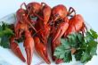 Red sea food