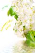 Flowering pear