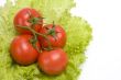 Group red tomato on leaf lettuce.