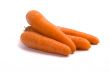 fresh carrots