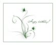 Fantastic flowers