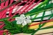 Quilling