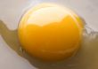 fried eggs