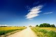 Macadam Road