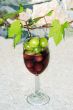vine shoot over wine glass