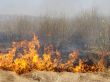 wildfire