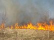 wildfire