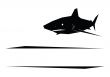 Shark logotype