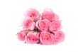 Pink roses bouquet