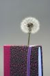 notebook and dandelion