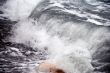 Storm wave