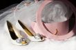 Wedding shoes, veil and box