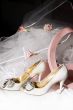 Wedding shoes, box and veil