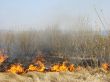 wildfire