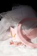 Pink box and bride`s veil