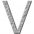 3D Stone Letter V