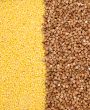 Buckwheat and millet background