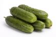 Vegetables - cucumbers