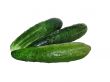 Fresh cucumbers isolated on the white