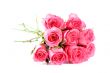 Pink roses bouquet