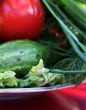Vegetables for salad