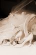 Wedding shoes, box and veil