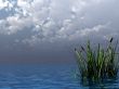 storm