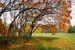 Autumn landscape