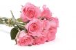 Pink roses bouquet