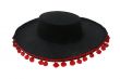 Black sombrero mexicano isolated