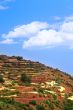 lonely house in Morocco