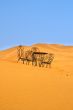 romantic place to sit on the Sahara desert