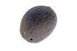 coconut on white