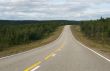 road between trees