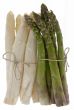 white and green asparagus