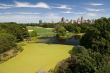 A landscape of Central Park in New York City