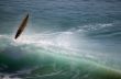 Big wave