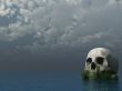 skull
