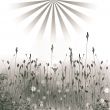 Meadow