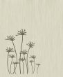 Abstract flowers
