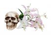 Pink and white lilies and skull