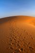 sunset over Sahara desert