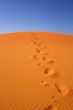 walking on Sahara