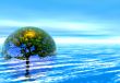  Islet Nature