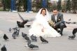 Bride, groom and doves